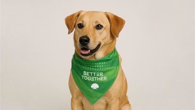 動物藥變印鈔機？台灣最大動物藥廠上市！