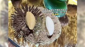 ▲大象「糞」做的甜點。