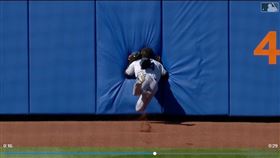 ▲馬林魚中外野手再見接殺後正面撞上全壘打牆。（圖／翻攝自MLB官網）