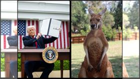 ▲新聞幕後／被看穿的關稅謀略！川普一人話震全球　股市崩騰跳入袋鼠市（圖／翻攝自川普臉書、PIXABAYS）