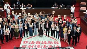 綠委林楚茵怒批，藍白就是民主殺手！只有大罷免才能停止，不讓藍白繼續把國會當夜總會。（圖／翻攝自林楚茵臉書）