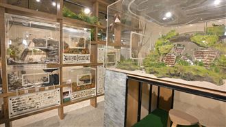 微觀世界的冒險　台灣首座螞蟻博物館開幕