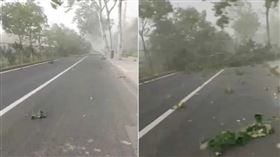 強風可能吹走不到50公斤的人，還可能把直徑30公分的樹木吹斷。（圖／翻攝自微博）
