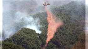 南韓野火　南韓森林大火　（圖／美聯社／達志影像）