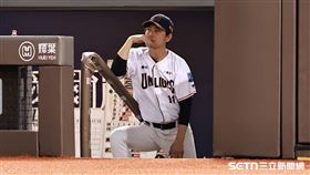 ▲中職36年例行賽，統一獅大比分落後，總教練林岳平臉色鐵青。（圖／記者劉彥池攝影）