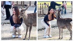 日本奈良公園是許多觀光客的必訪景點，園內住著上千隻的奈良鹿，遊客爭相和這些可愛又療癒的奈良鹿合影，近日TikTok上專門分享奈良公園的naraparkdeer分享了美艷爆乳妹與奈良鹿合影的兩段影片。（圖／翻攝自TikTok／naraparkdeer，）