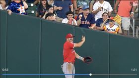 ▲楚奧特（Mike Trout）接界外球被球迷干擾，但裁判卻判定是界外。（圖／翻攝自MLB官網）