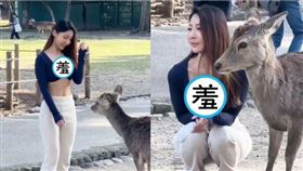 一名女遊客與奈良公園的鹿溫柔互動的影片，因身材太火辣，瞬間在網路上掀起熱議。（翻攝自TikTok@naraparkdeer）