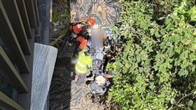 救援過程。（圖／翻攝畫面）