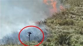 空氣品質感測儀器自燃造成火燒山。（圖／翻攝畫面）