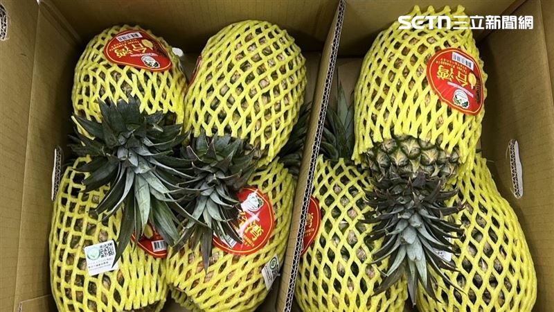 台南關廟鳳梨6噸運星國　25日超市上架