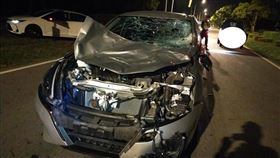 ▲金門許男駕車返回家途中，因牛隻突竄出道路，閃避不及撞上，造成車頭嚴重損毀。（圖／翻攝畫面）