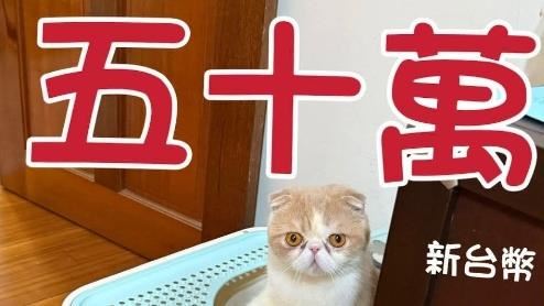 懸賞50萬喵喵找到了！台中男PO大把現金照