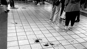 快訊／北捷石牌站爆砍人案！兇嫌持刀行刺女乘客　月台濺血送醫。網友授權