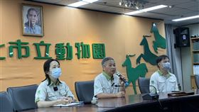 馬來貘「英雄」解剖結果出爐  北市動物園說明來自日本的馬來貘「Hideo英雄」在搭機過程中身亡，台北市立動物園發言人曹先紹（中）、獸醫室主任賴燕雪（左）24日說明初步解剖結果。中央社記者陳昱婷攝  113年6月24日