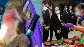 慘遭比特犬咬死的柴犬主人是小有名氣的知名炊粿店闆娘，點心曾端上國慶晚宴。（圖／翻攝自臉書）