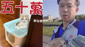 喵喵、50萬、臉書、社團、沙鹿之美、陳姓代書