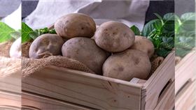 台農4號馬鈴薯是由嘉義農業研發出的新品種。（圖／北農提供）