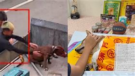 動保科,內埔鄉,屏東,柴犬,比特犬,品種,屍體,罰鍰▲圖片描述。（圖／飼主提供） 