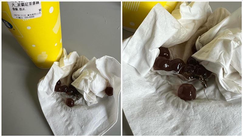 她喝50嵐波霸好酥脆：一咬爆漿！開杯崩潰