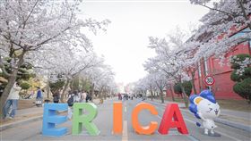 ▲漢陽大學ERICA校區。（圖／翻攝自漢陽大學ERICA校區官網）