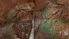 豬肉出現神秘綠光，不是食材壞掉。（圖／翻攝自醫食無虞It's well臉書）