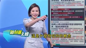 朱立倫包圍北檢，律師揭背後原因。（圖／新台派上線）