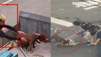 比特犬疑詐死：埋葬→放水流→火化裝袋？