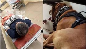 ▲ 俄國一名工程師上班途中，遭2隻惡犬攻擊送醫搶救。（圖／翻攝自59.ru）
