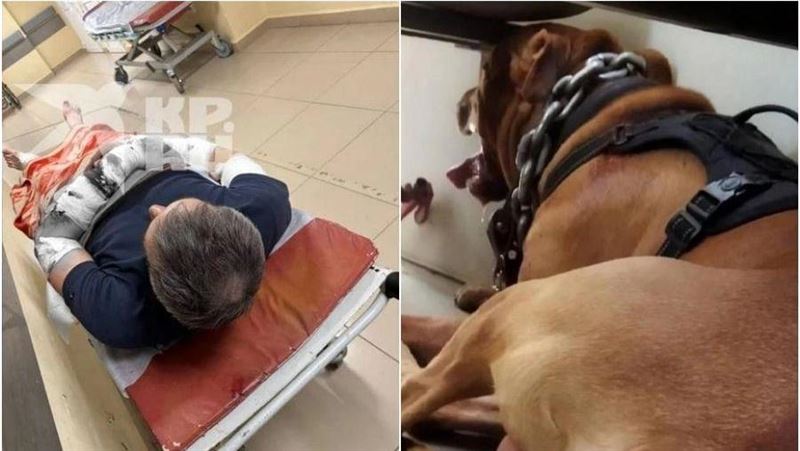 工程師遭2惡犬撕咬　保全嚇到心臟病亡