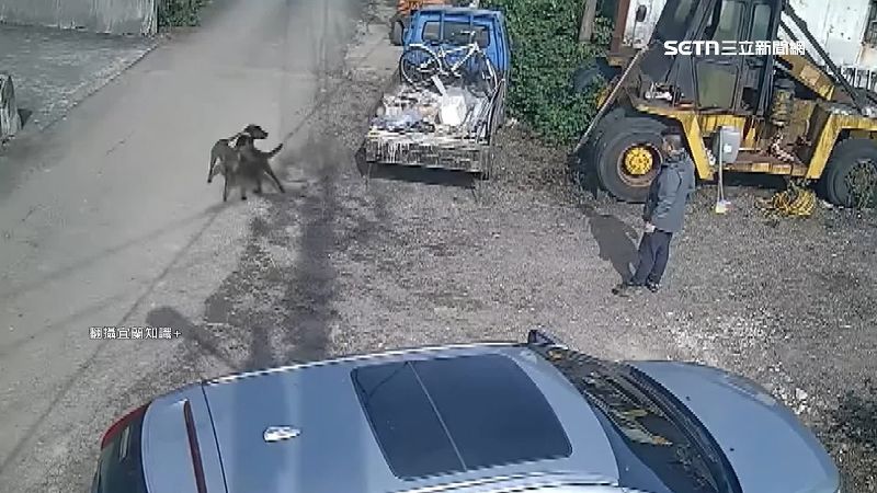惡犬見人就狂吠 居民怒控:飼主不牽繩
