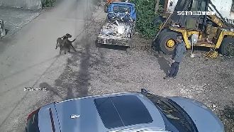 惡犬見人就狂吠　居民怒控：飼主不牽繩