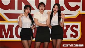 ▲樂天「韓籍3本柱」廉世彬、河智媛、和禹洙漢穿OL套裝應援。（圖／記者劉彥池攝影）