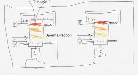 首屆「精子賽跑」比賽建造的微型賽道設計圖。（圖／翻攝自Sperm Racing官網）