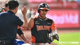 ▲中職36年例行賽，統一獅一壘手林培緯高飛犧牲打送回邱智呈。（圖／記者劉彥池攝影）