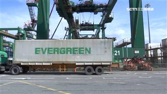 獨／直擊台北港！大型貨櫃車密集進出趕貨