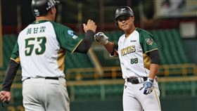 ▲台鋼雄鷹藍寅倫敲出2安、單場還有2次盜壘成功。（圖／台鋼雄鷹提供） 