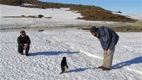 ▲南極洲（圖／翻攝自維基百科）