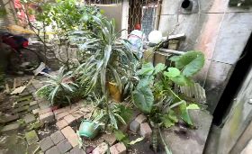 新北鄰居衝突 被害人雙眼球遭戳掉