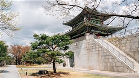 韓國二線城市旅遊逐漸興起，且票價具有競爭力，易遊網獨家德威航空優惠，飛大邱來回含稅3,347元起。（圖／品牌業者提供）