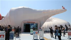 大阪世博PASONA館  外觀為「菊石」螺旋形狀2025年世界博覽會（大阪世博）企業館PASONA NATUREVERSE外觀設計為「菊石」的螺旋形狀，設計師板(土反)諭表示，因為各種規模的螺旋形狀存在於自然界，因此以螺旋作為「生命的象徵」。中央社記者楊明珠大阪攝  114年4月20日