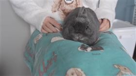 yuma（圖／翻攝自yuma日本人的日常 YouTube）