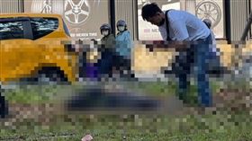 高雄騎士闖輕軌軌道自摔，腿部開放性骨折送醫。（圖／翻攝記者爆料網）