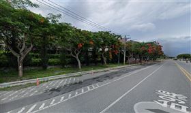 擋路就殺！傅崐萁服務處主任竟毒死242樹(圖/翻攝GOOGLE)