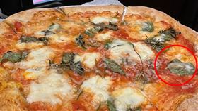 披薩上驚見噁心毛蟲，讓客人感到相當反胃，店家態度卻十分不以為然。（圖／翻攝畫面）