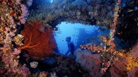 《沈睡的水下巨人》。（圖／牽猴子提供）