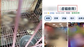 止不住網友怒火，餐廳Google店名標註「虐貓廚房」。（圖／翻攝畫面）