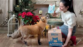 蕭瑋葶以善款養狐狸當寵物。（圖／翻攝自蕭瑋葶 Na-Xiao臉書）