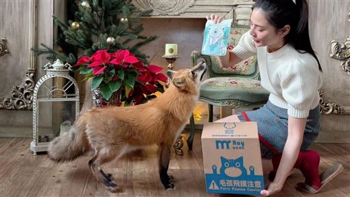 前名模涉吞善款遭押7個月…今5百萬交保