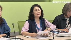 ▲吳思瑤評論藍白在野領袖峰會。（圖／記者詹宜庭攝影）